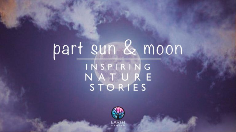 Part Sun and Moon 🌞🌛 Inspiring Nature Stories