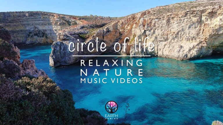 Circle of Life ☯️🌱 Chill music to relax | Nature & Wildlife Music Videos