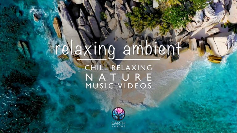 Relaxing Ambient Vibes 🐬🏝️ Nature & Wildlife Music Videos