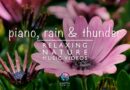 1-hr Relaxing piano music with rain and thunder ⛈️ river and nature sounds