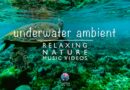 2-hr Underwater sound with soothing ambient music 🐠🐬 for relaxation, sleep or study