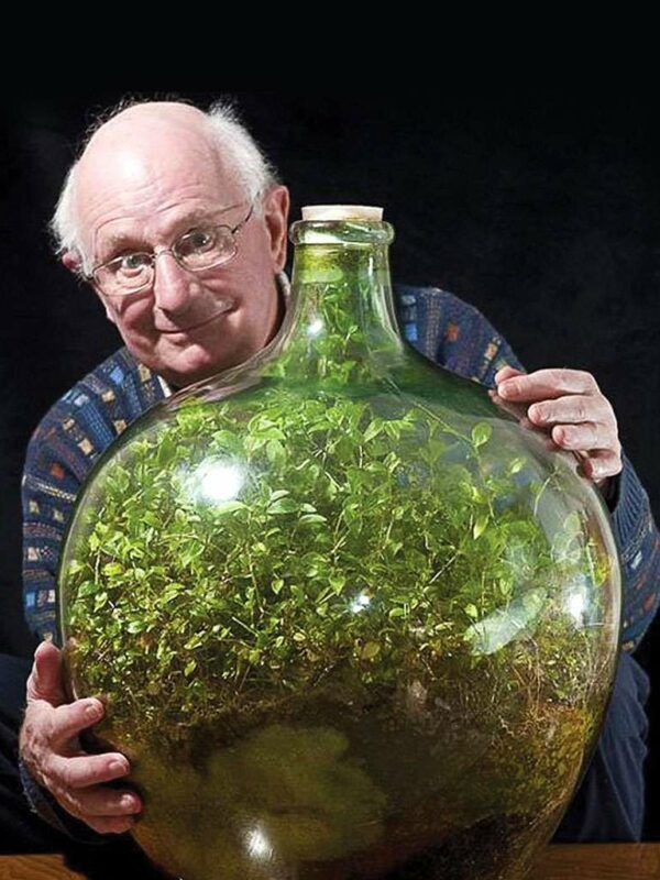 Nature’s Time Capsule: The Remarkable 60-Year Journey of David Latimer’s Sealed Bottle Garden
